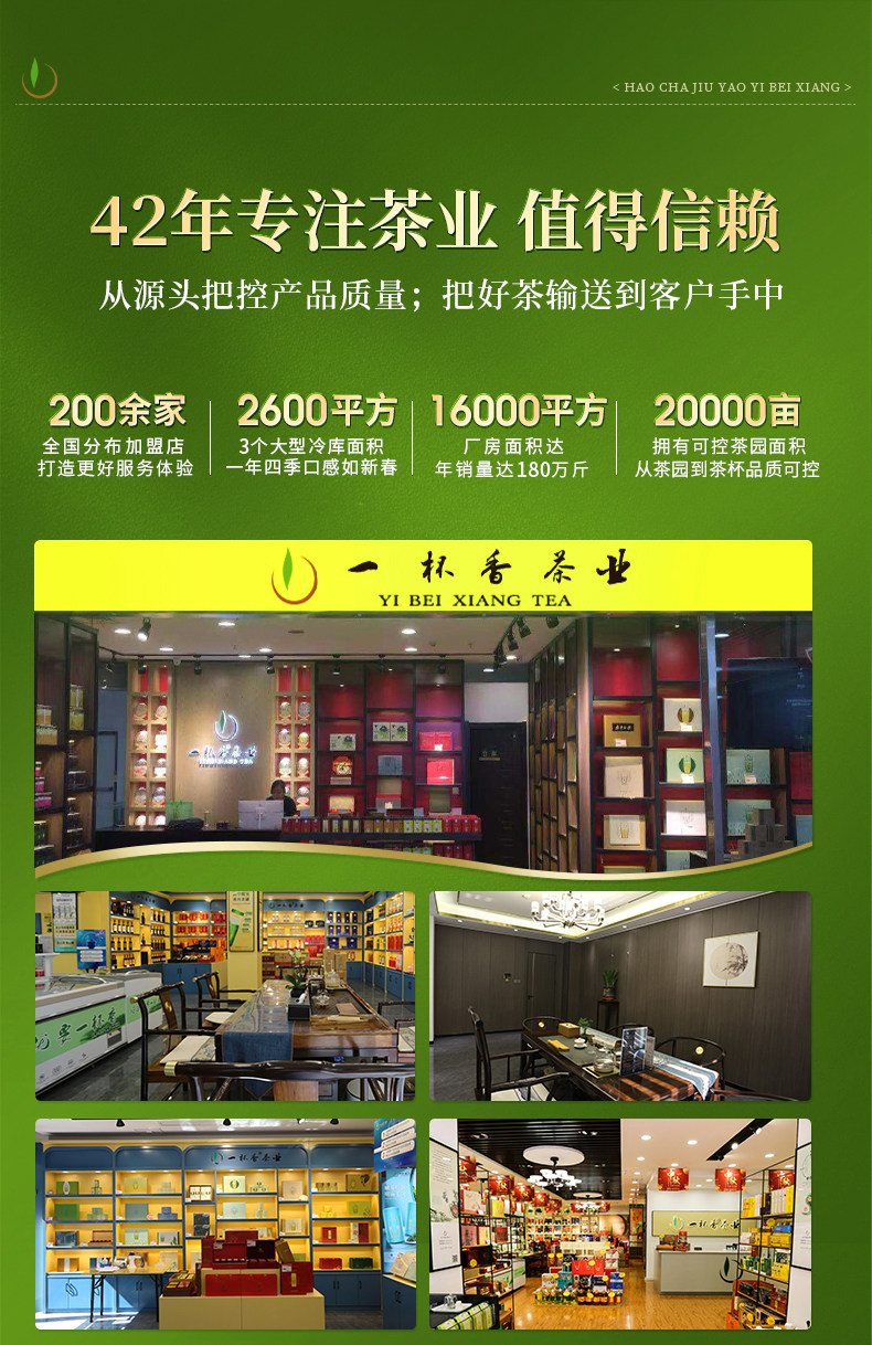 【中國直郵】 一杯香 2025新茶白茶明前安吉綠茶茶葉自己喝春茶 100g*2罐