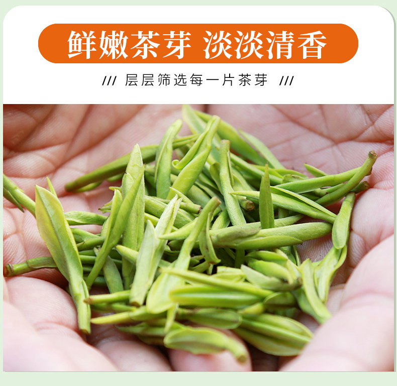 一杯香 2019新茶 明前云雾绿茶 500g礼盒装 图13