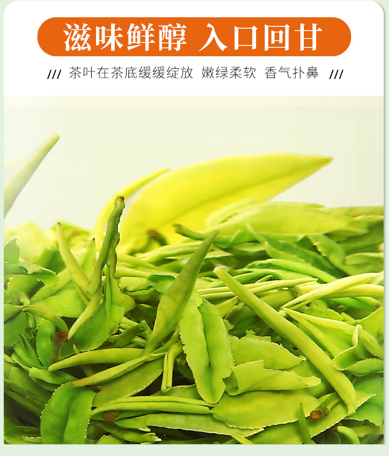 一杯香 2019新茶 明前云雾绿茶 500g礼盒装 图8
