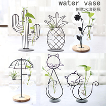 Wrought iron hydroponic glass bottle vase ins Wind hipster ornaments creative green grass living room home decoration