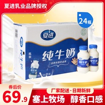 (24 bottles x243ml) Xia Jin pure milk whole box full milk adult students grow breakfast pure milk