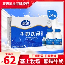 (24 bottles x243ml) Xia Jin sour milk yogurt drink pregnant women students Children Nutrition breakfast whole box