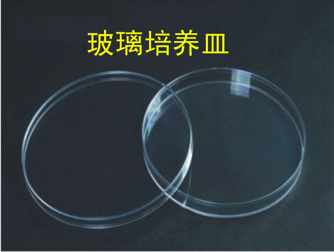 高硼硅培养皿 60mm 75mm 90mm 100mm 120mm