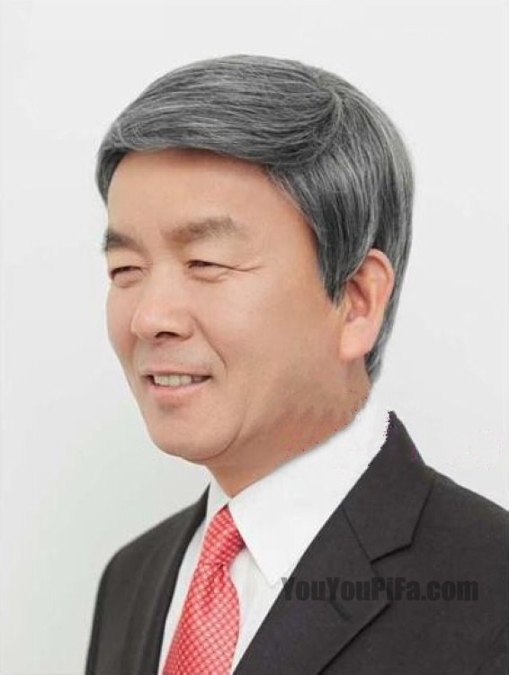 Perruque OTHER   cheveux raides Court - Ref 2609109 Image 8