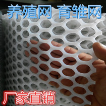 Special price plastic flat net net chicken and duck net plastic breeding net protective net foot net safety net