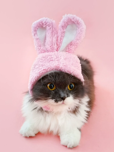 Кролик, шлем, аксессуар для волос, забавная милая шапка, кот, домашний питомец, наряжаться