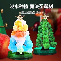 Paper tree magic Spring Festival tree blossom diy magical watering growth crystal Christmas childrens gift handmade toys