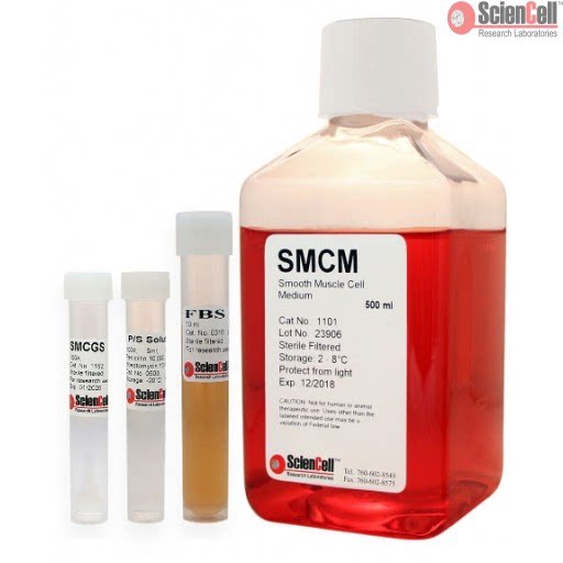 ScienCell 1101 平滑肌细胞培养基 SMCM培养基 500ML