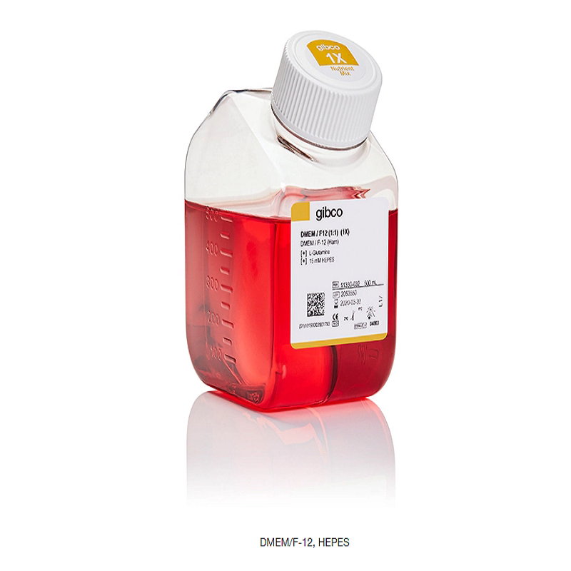 GIBCO 11330032 DMEM/F-12(1:1)培养基 DMEM/F12 11330-032 500ml