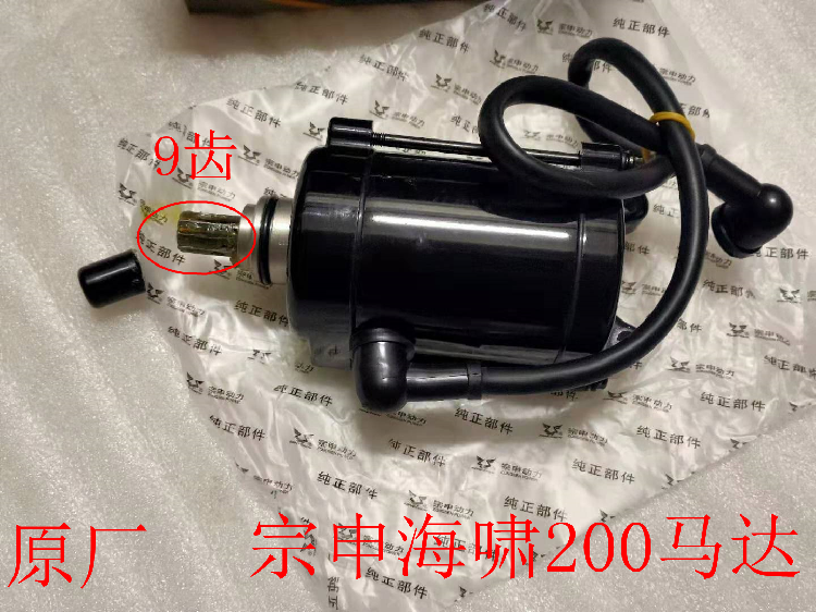 Tricycle accessories Zongshen Tsunami SB200 Tsunami 200 starter motor 9 gear motor water cooling