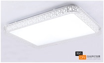 National modern simple living room ceiling lamp creative Birds Nest atmospheric rectangular LED acrylic ceiling lamp