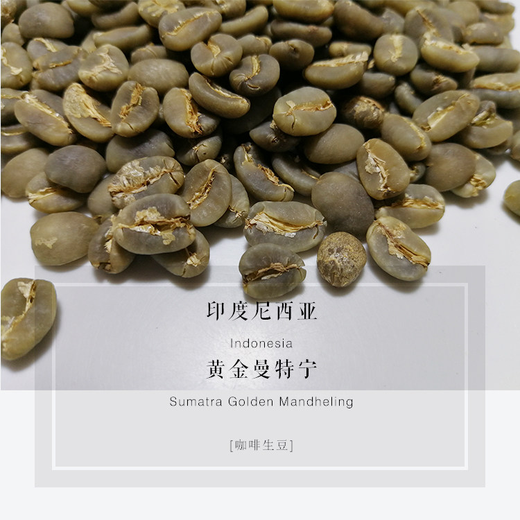 Coffee beans Indonesia Sumatra gold mantening 19 mesh 2021 new season 1kg