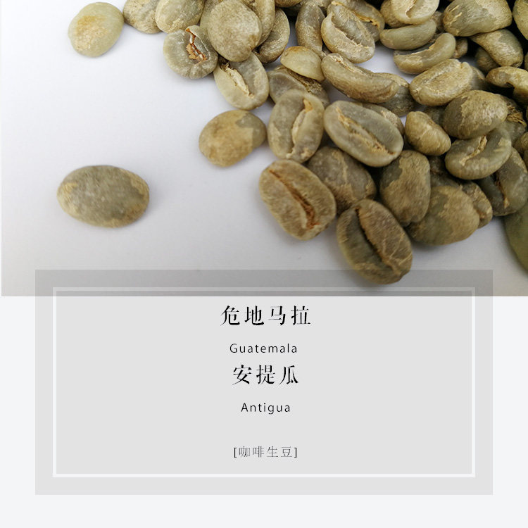 Coffee raw beans 2021 new production season Guatemala Antigua SHB washed with coffee beans raw beans 1kg