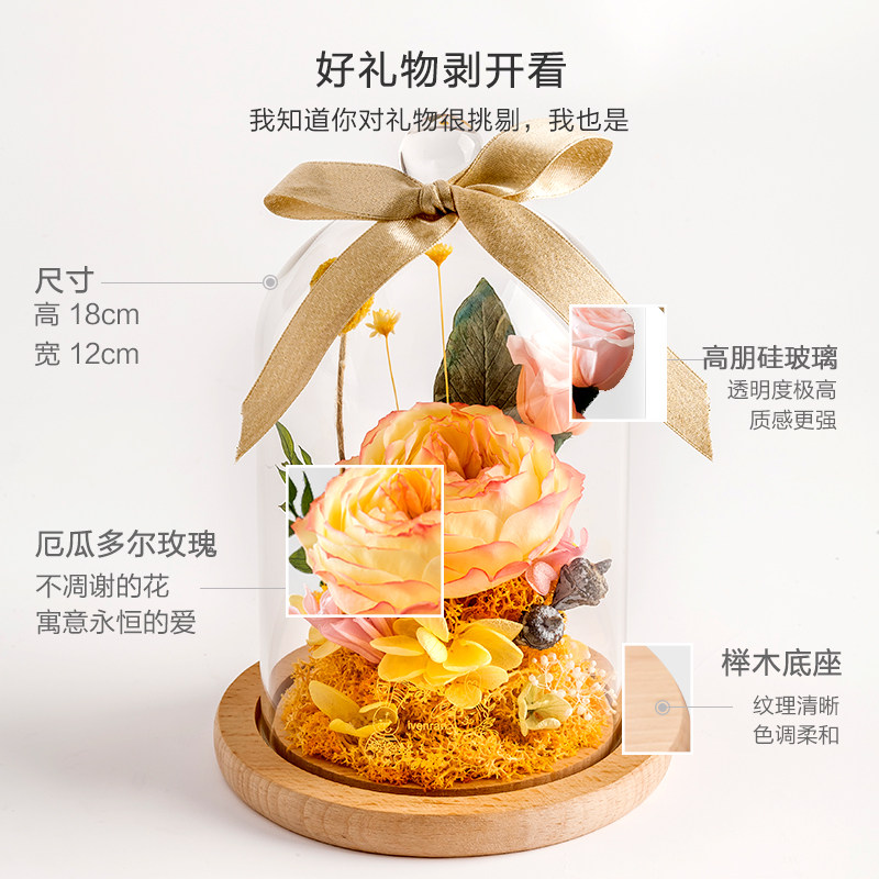 进口花礼盒玻璃罩玫瑰保鲜花束摆件创意生日圣诞节礼物永生