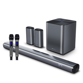 Shanshui dual wireless bel canto microphone karaoke audio sound master