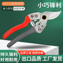 SK5 steel seedling pruning shears fruit tree gardening scissors fruit flower and tree shears fruit tree and flower garden tools