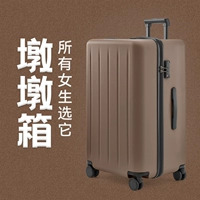 【Какао -коричневый】 зритель