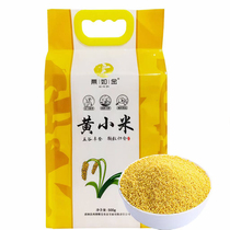 5 catty edible farmhouse yellow millet New rice fragrant glutinous glutinous five grain coarse grain coarse grain Shaanxi rice fat moon rice