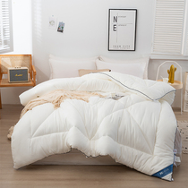 Sleepless Condo Loved Seven Holes Lock Warm Zip Primary Mother-daughter Quilt With Four Seasons Universal Thickened Warm Quilt Core Spring Autumn Quilt By Winter Quilt