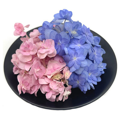 Fresh and dreamy double-petal hydrangea, hotel Western cuisine plating, Japanese cake baking, wine decoration, embellishment, flowers and grass