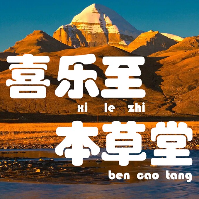 xlz医药公司企业店