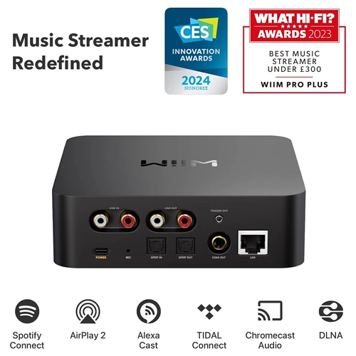 Декодирование цифрового вещания WiiM Pro, универсальный ЦАП, декодирование без потерь, цифровой музыкальный проигрыватель HiFi, потоковое мультимедиа