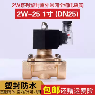 Outdoor solenoid valve DN25 1 inch 2W-25 normally closed plastic sealed water valve air valve copper valve AC220V DC24V