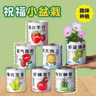 儿童趣味盆栽植物种植易拉罐头网红祝福绿植番茄种子桌面创意礼品