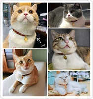 Цветовой стиль случайный