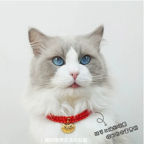 Чокер ручной работы, аксессуар, регулируемое ожерелье, цепочка, замок долголетия