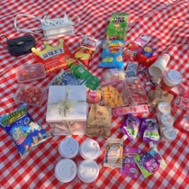 Plaid picnic mat moisture-proof mat outdoor thickened waterproof portable ins Wind outing cloth mat spring outing plaid box