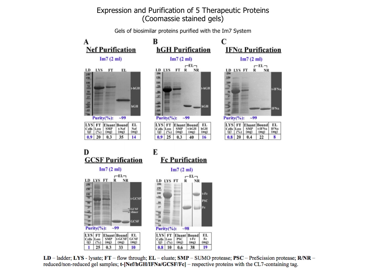 Trialtus Bioscience Activated Im7 Resin