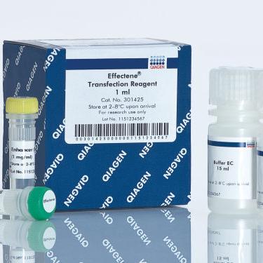 Effectene Transfection Reagent (4 x 1 ml) QIAGEN 301427