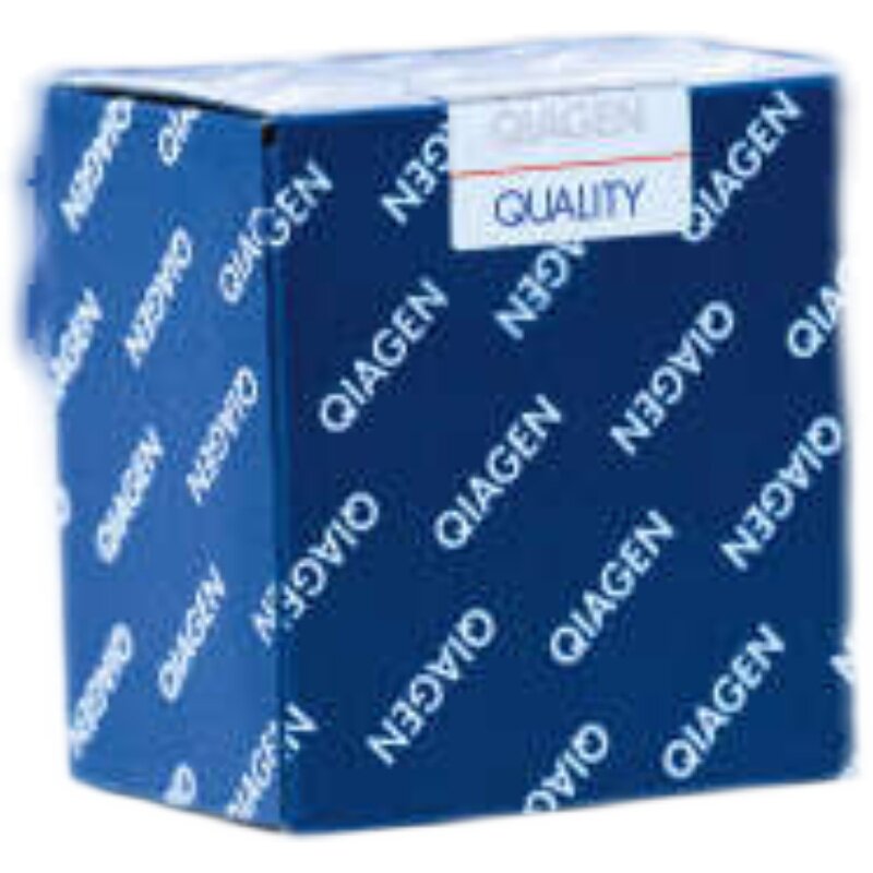 QIAGEN RNeasy Maxi Kit (12)  75162