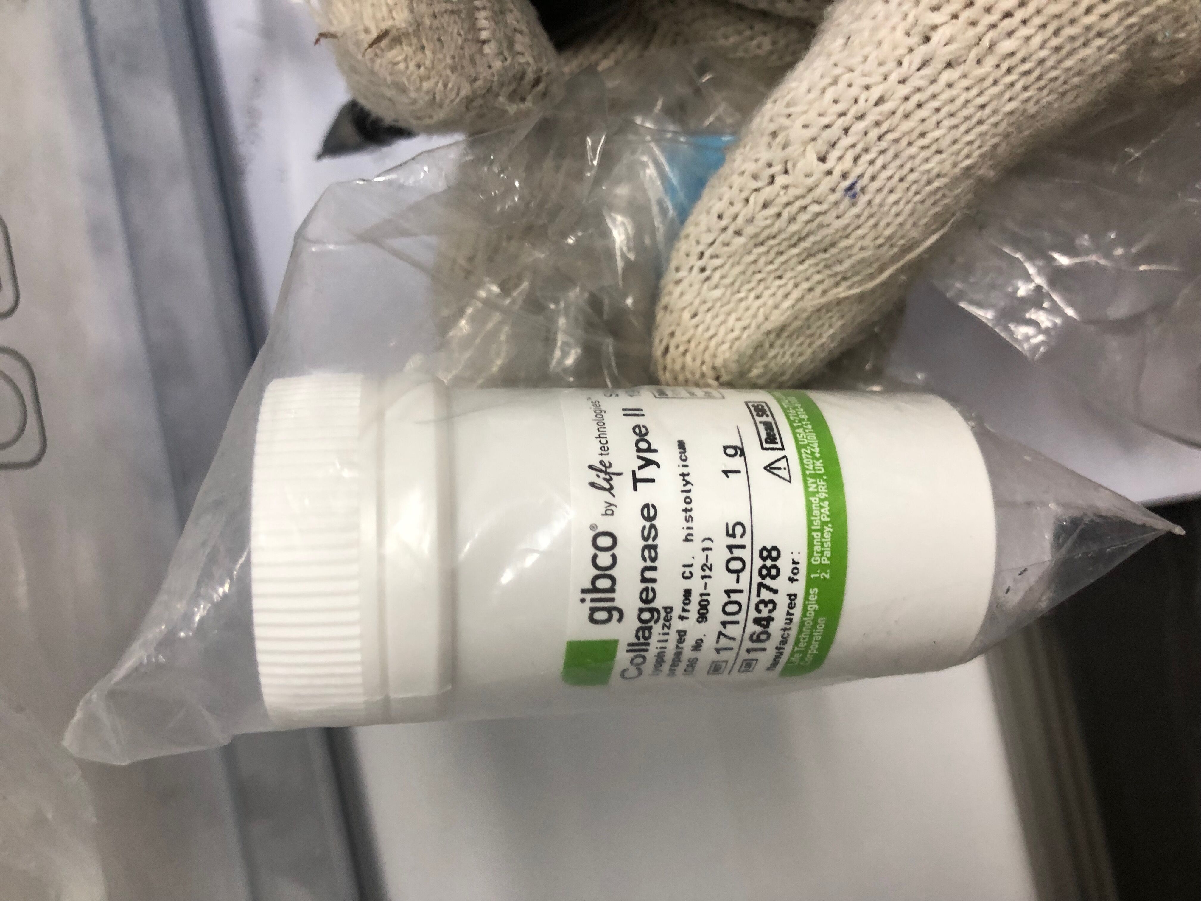 Gibco? Collagenase, Type II, powder 17101015
