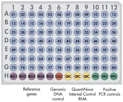 RT2 PCR Array  QuantiNova LNA PCR