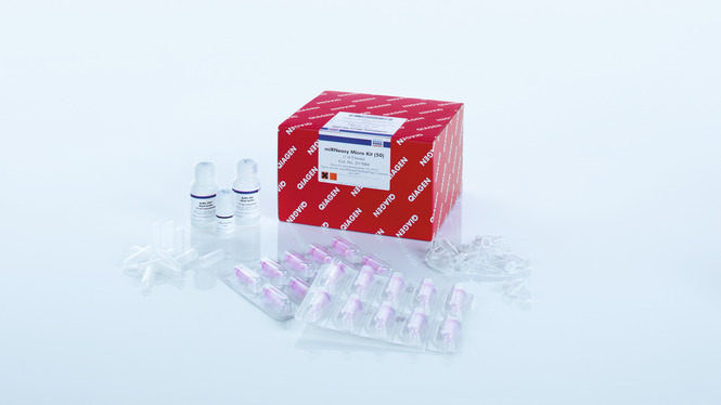 QIAGEN 凯杰 miRNeasy Micro Kit (50) 217084
