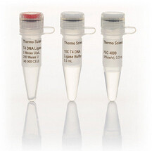 T4 DNA Ligase (5 U/&mu;L)  200U