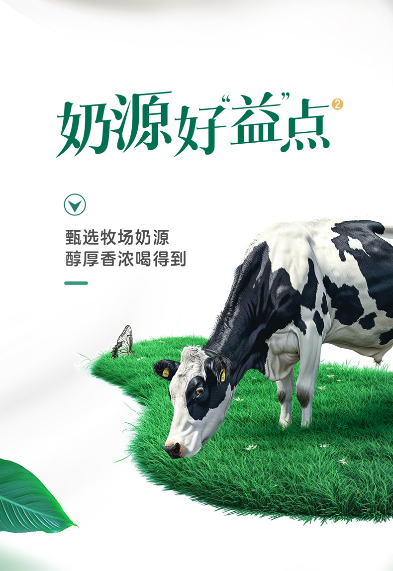 安享好物 安享D级酸奶-君乐宝开菲尔 益浓酸奶 国标