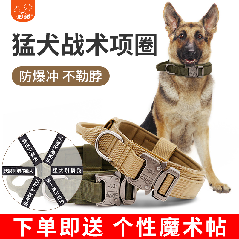 Dog Item Circle Dog Horse Dog Explosion Protection special dog collar Large Dog Depasture collar Large Dog Traction Rope