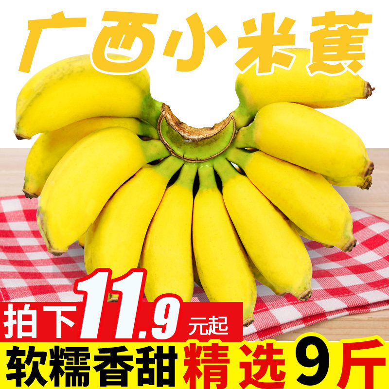 Pure fragrant fruit Guangxi banana fresh 9 catties when season natural cooked plantain fruit millet Banana Emperor Banana sweet whole box