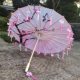 Classical Chinese style oil paper umbrella female ceiling tassel ancient style decoration dance catwalk performance Hanfu photo silk umbrella