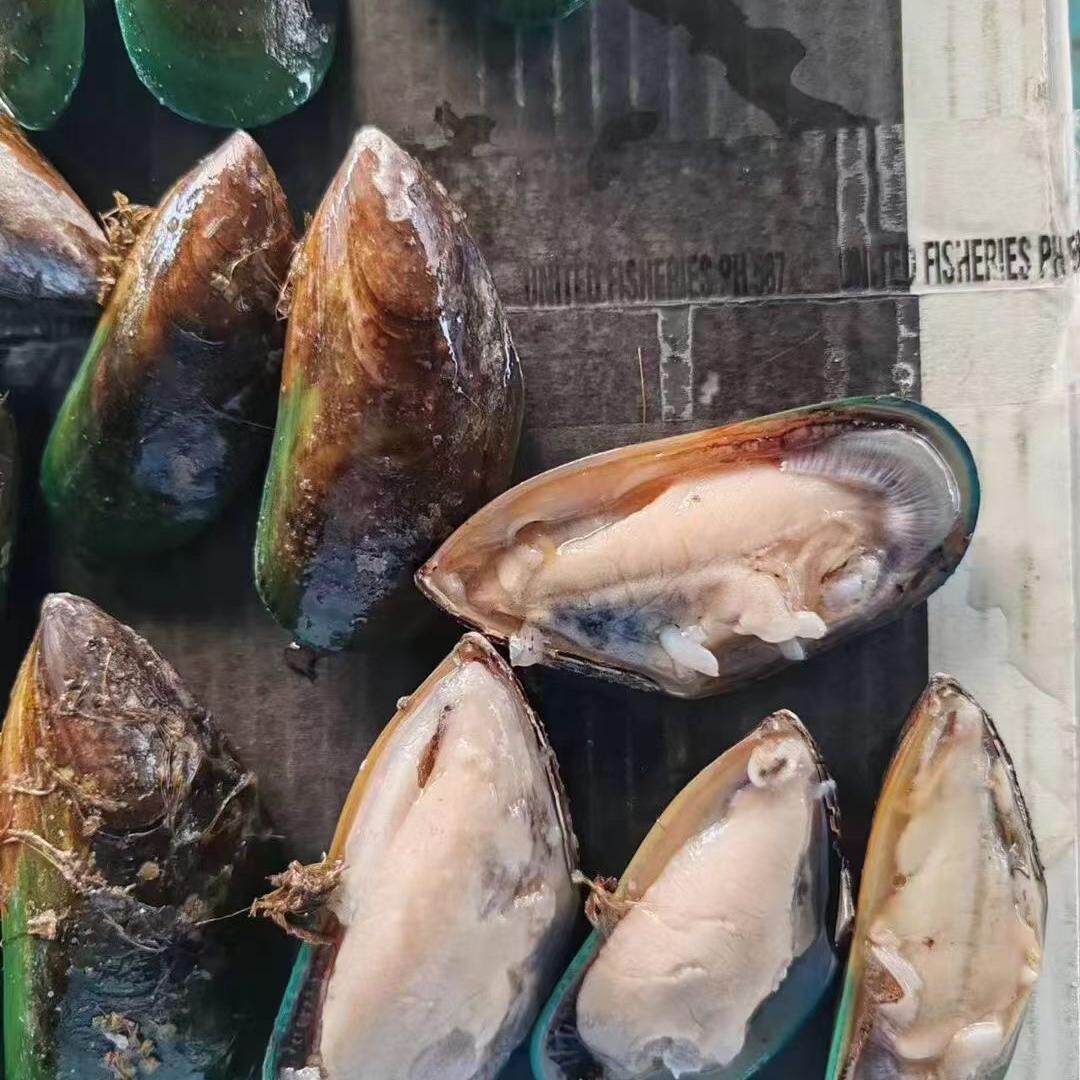 新西兰青口贝20斤半壳号新鲜冷冻翡翠贻贝,海鲜爱好者的盛宴!-青口贝-淘宝好物网