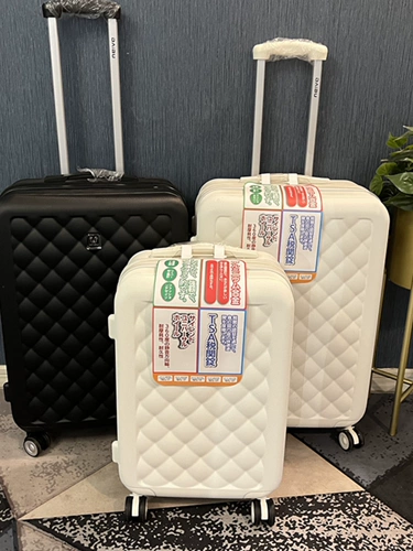 Чемодан, руль, японская тележка, 24 дюймов, стиль