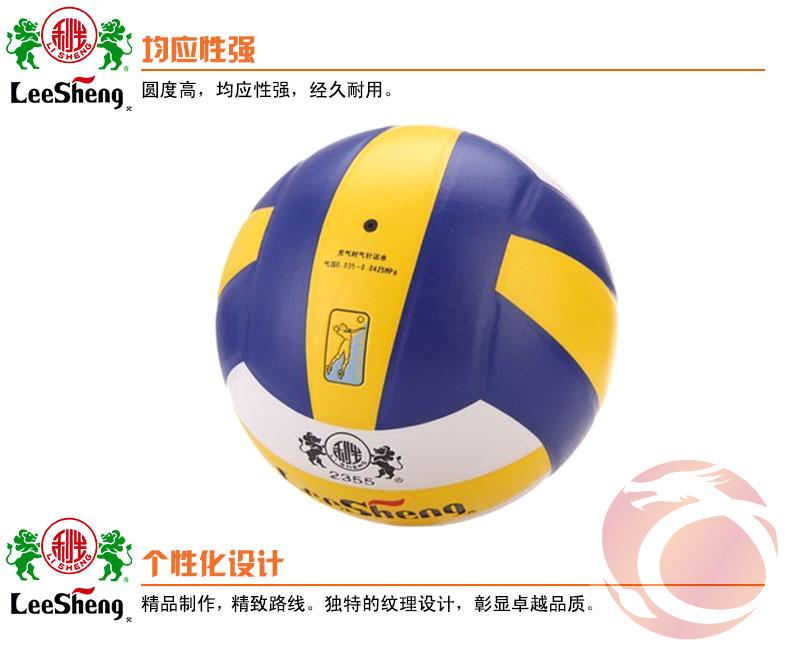 Ballon de volley - Ref 2013342 Image 8