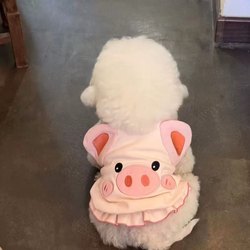Dog Pet Clothes, Cat Vest, Anti-Shedding, Summer, Pomeranian, Cute Animal Clothes, Kitten, Thin Style, Small Dog