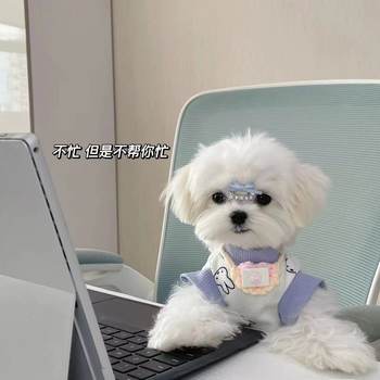 Spring and summer pet clothing for cats and dogs internet celebrity white and purple color matching miffy bunny waffle style sweatshirt