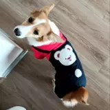 Одежда собаки осенью и зимой густая теплая хлопчатобумажная одежда Тедди Тедди Белль Бумеи маленькие собачьи кошки четыре юбки