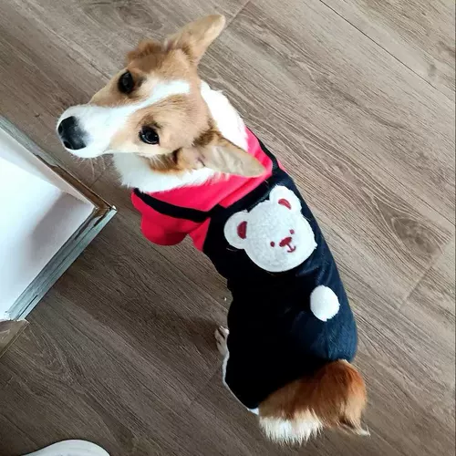 Одежда собаки осенью и зимой густая теплая хлопчатобумажная одежда Тедди Тедди Белль Бумеи маленькие собачьи кошки четыре юбки