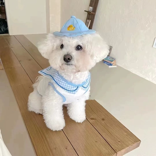 Летняя собачья одежда Тонкая одежда для домашних животных дышащие мультипликационные жилеты для кошачья одежда кошачья одежда бишон